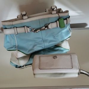 White and blue coach set